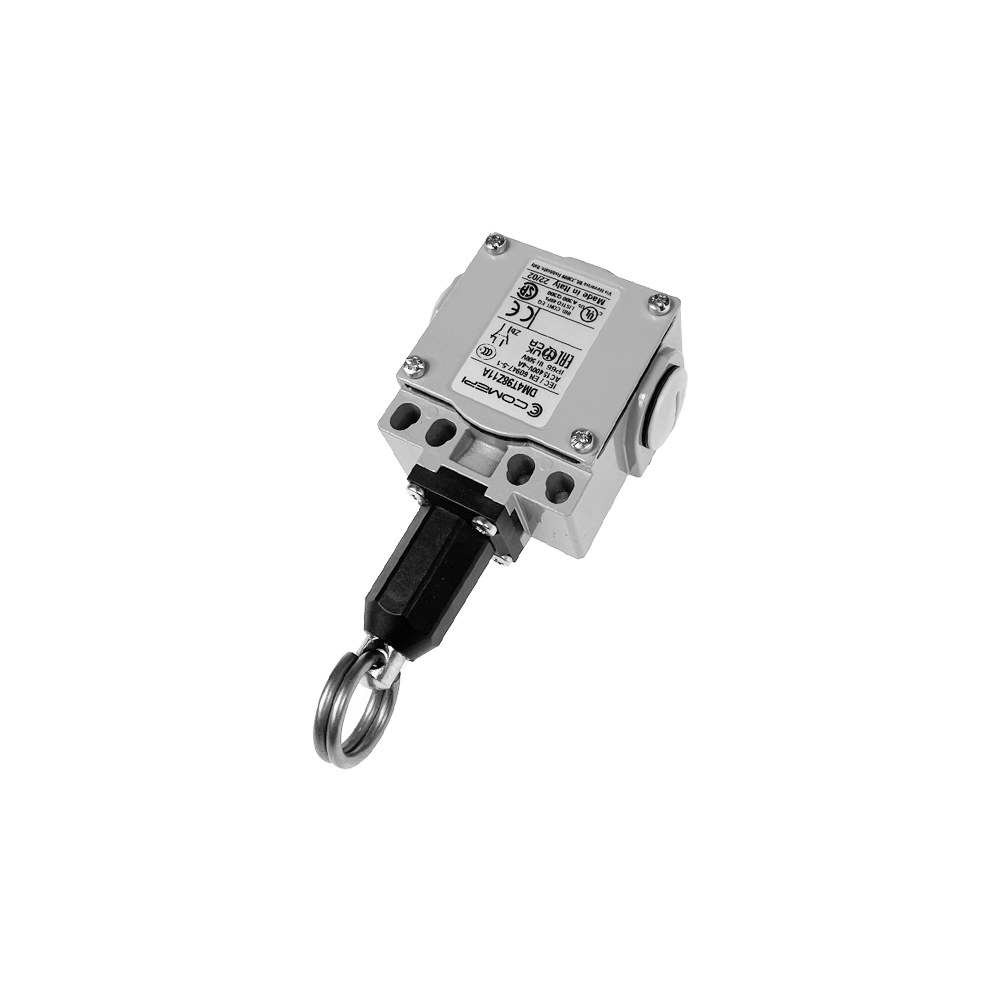 Pull action switch IP66