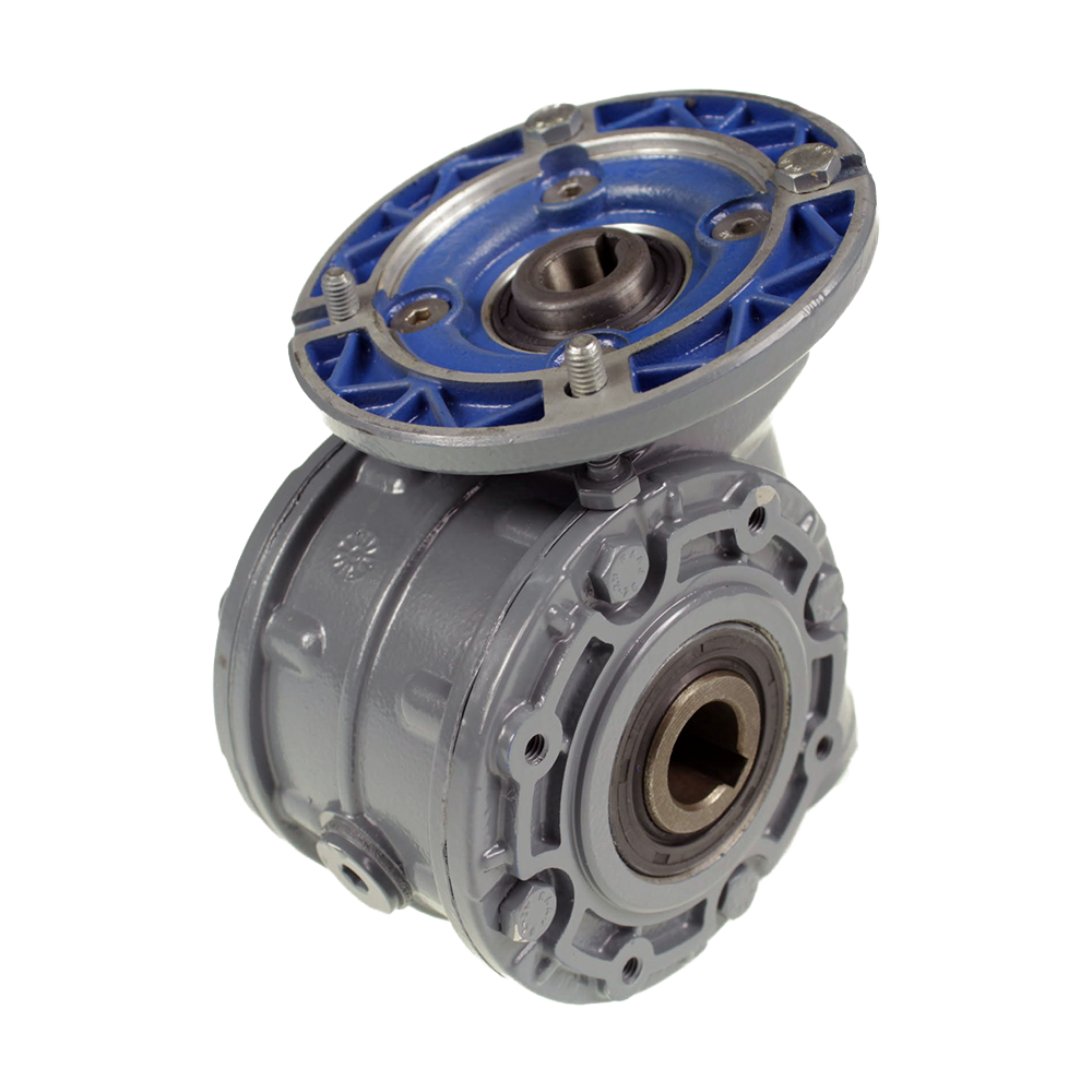 Worm gear reducer for RMU50