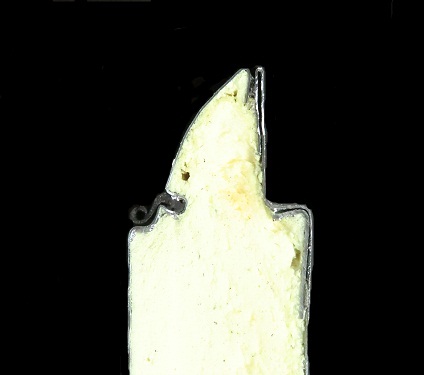 Deurpaneel 542 (origineel) STAAL 42x600 mm RAL7016
